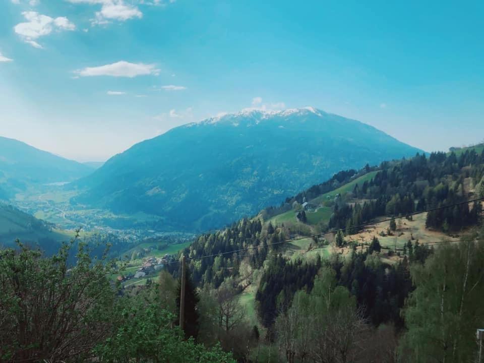 Villa Bauernhof Oberfriessnig Radenthein Esterno foto